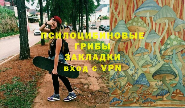 apvp Бикин