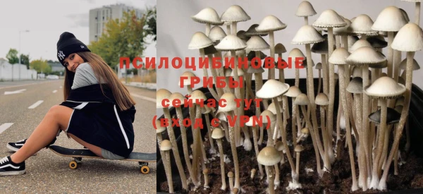 трава Алексин