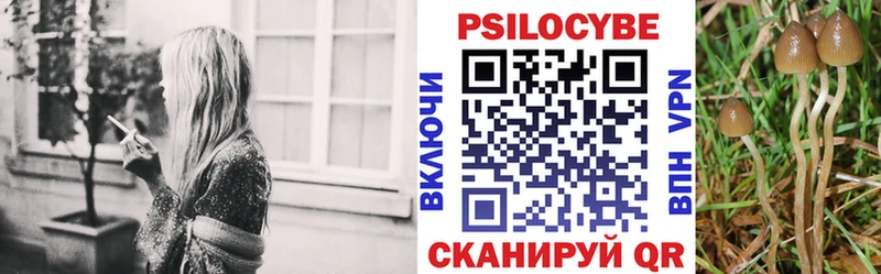 omg маркетплейс  Ветлуга  Галлюциногенные грибы Psilocybe 