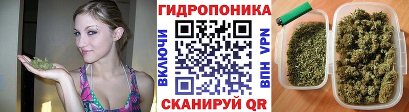 Бошки Шишки тримм  Ветлуга 
